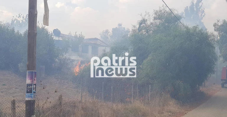 Κανένα ενεργό μέτωπο στην Ηλεία – Σώθηκε ο οικισμός των Λετρίνων